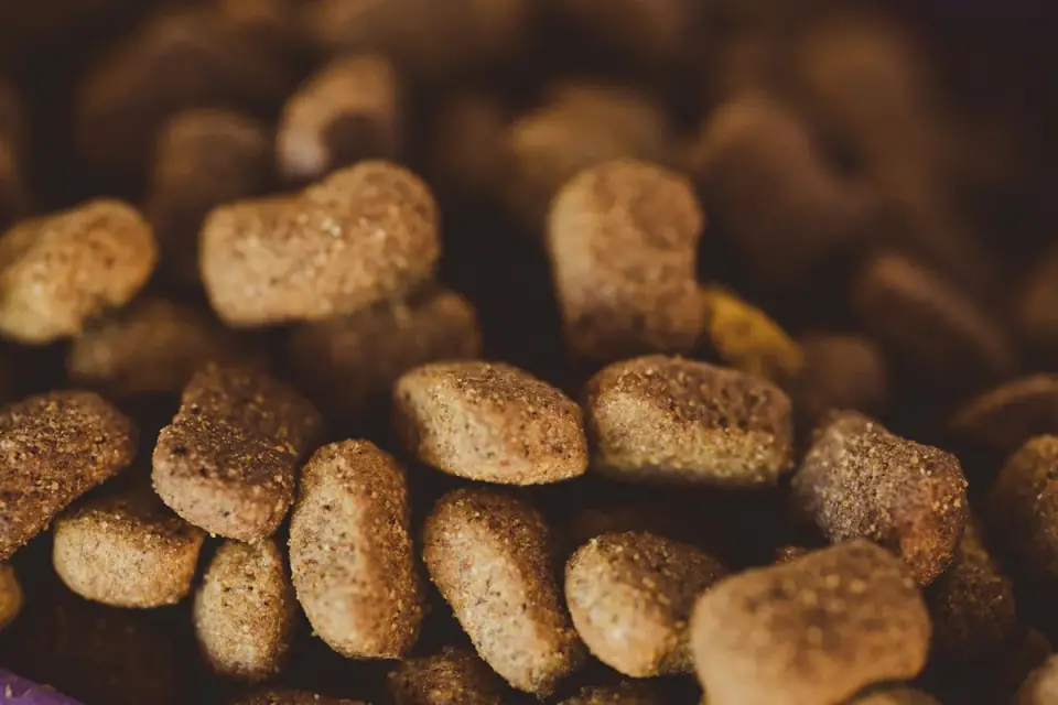 A bowl of senior dog food with a fine powder sprinkled across the surface