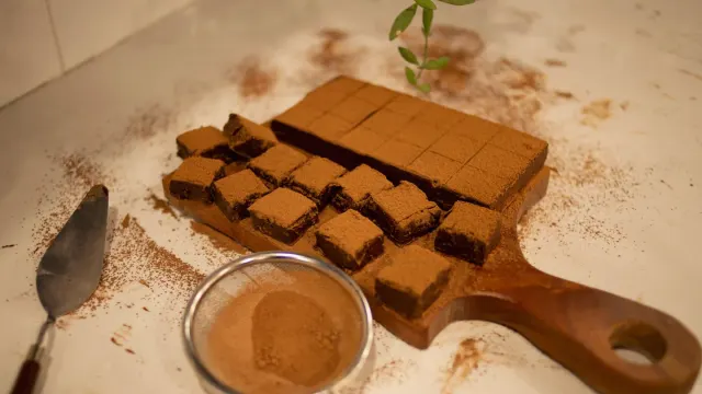 A dark chocolate bar and cocoa powder sitting on a kitchen counter near a dog's nose