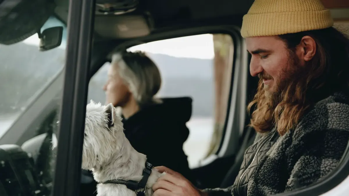 A dog drinking water from a portable collapsible bowl while on a trip