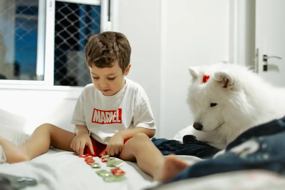 A dog food puzzle toy sitting on a hardwood floor