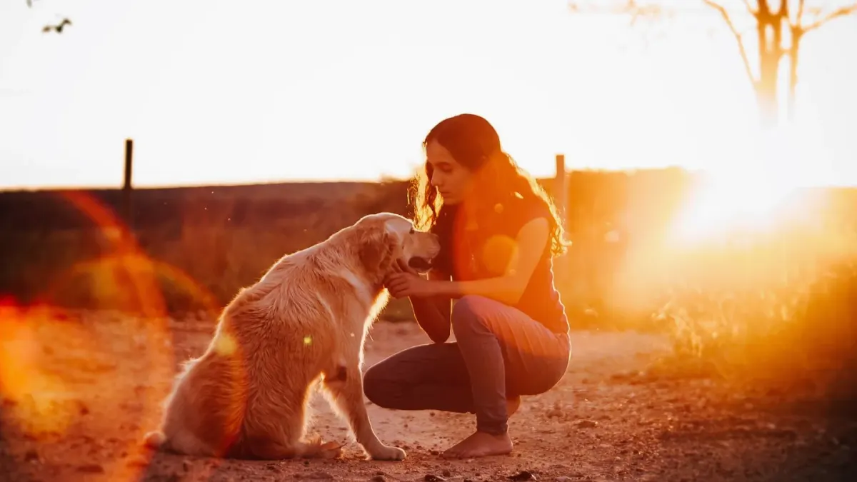 A dog owner offering a soft chew supplement to a golden retriever in a kitchen