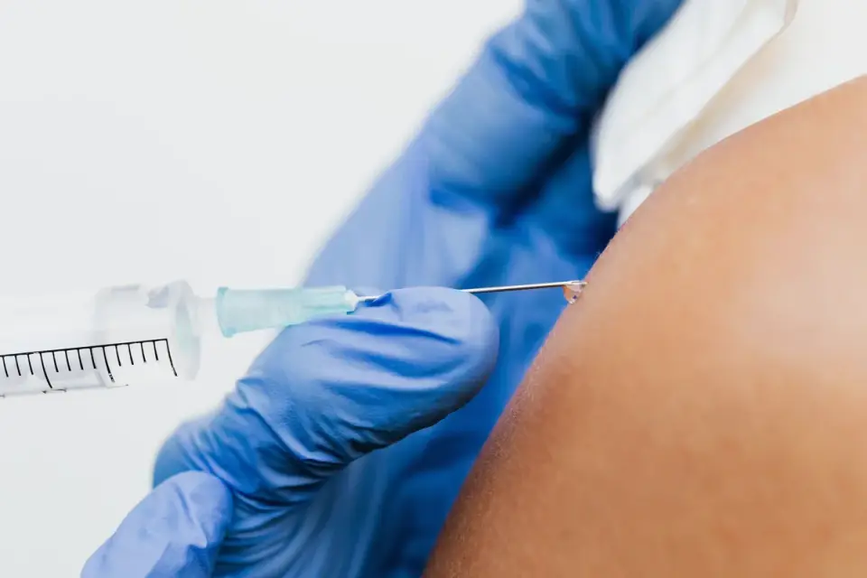 A dog receiving an intramuscular injection from a veterinarian