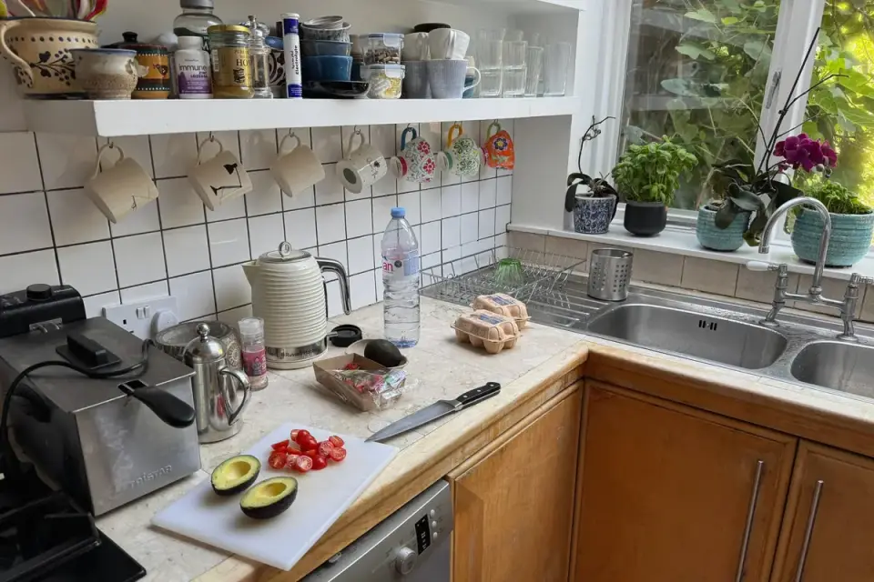 A dog standing near a kitchen counter while a person chops vegetables