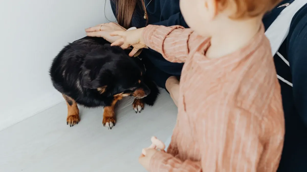 A dog standing near a plug-in diffuser in a home living room