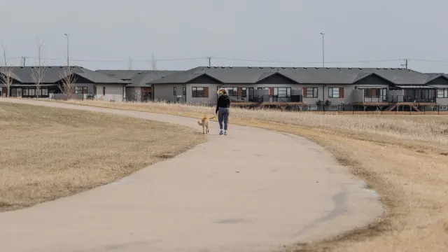 A leashed dog walking calmly along a quiet, empty sidewalk