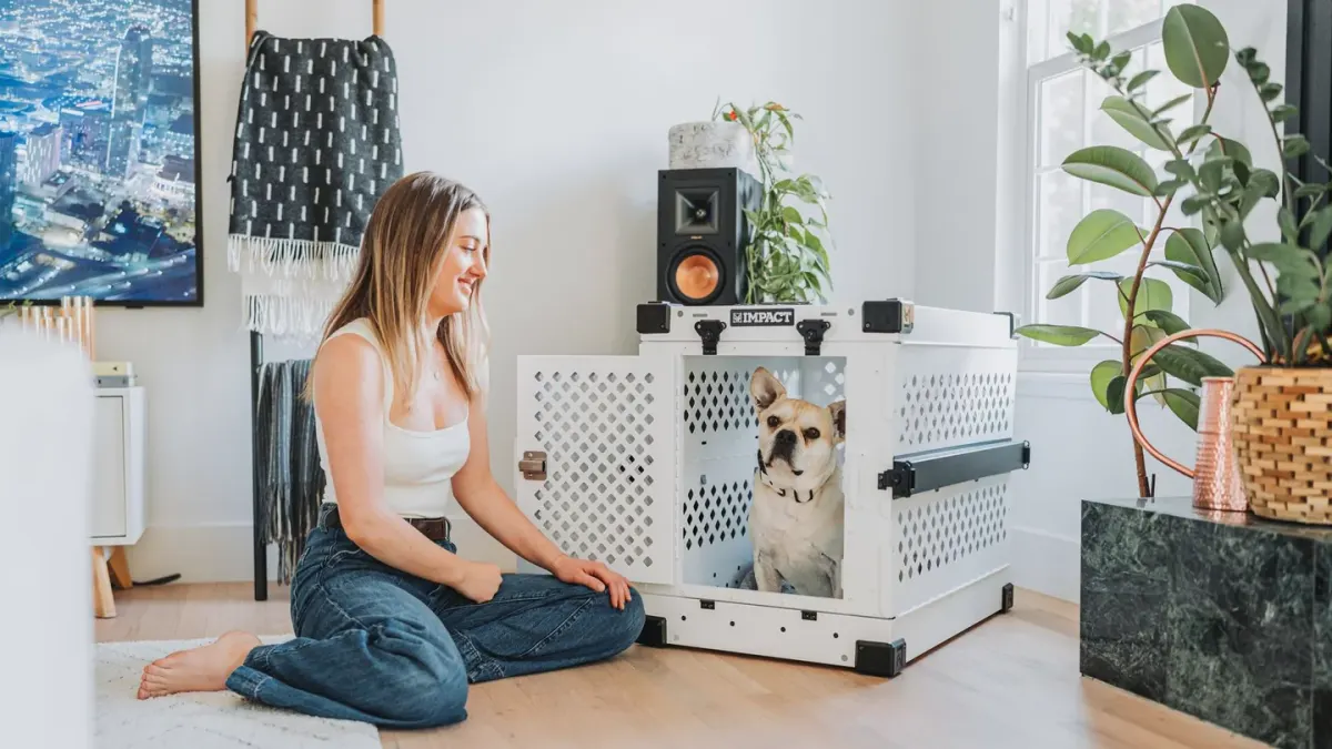 A new owner sitting on the floor while a dog holds back near the doorway