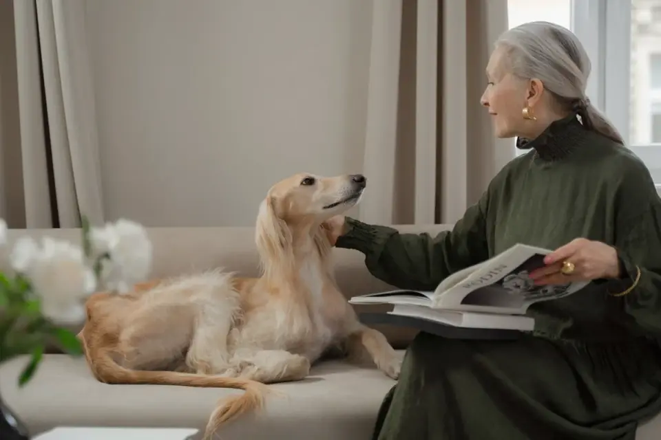 A senior dog receiving a gentle checkup from a veterinarian