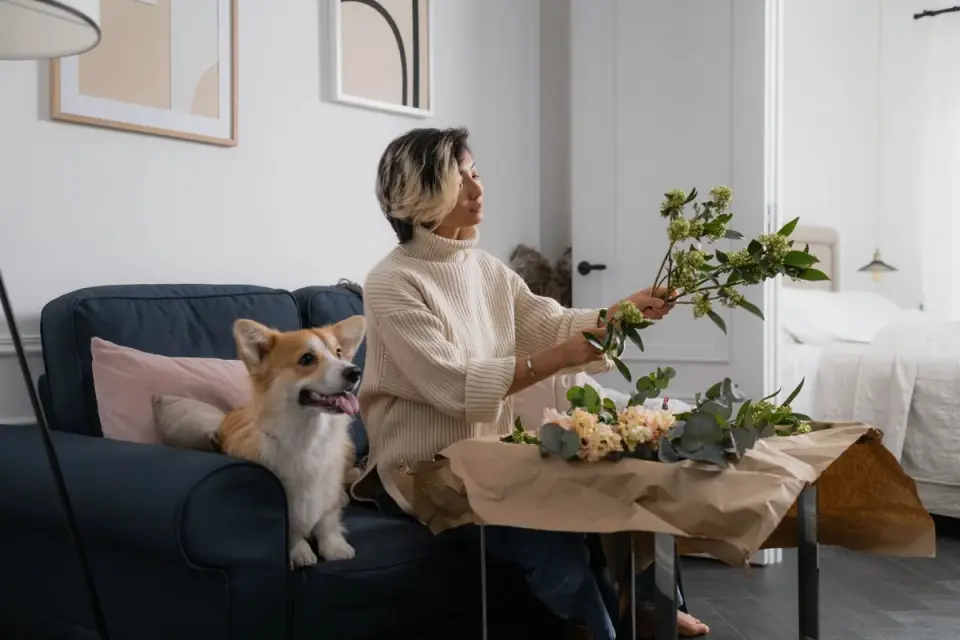 A senior dog resting calmly beside its owner on a couch