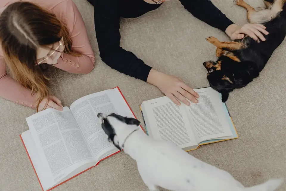 A veterinarian and dog owner reviewing a supplement label together in an exam room