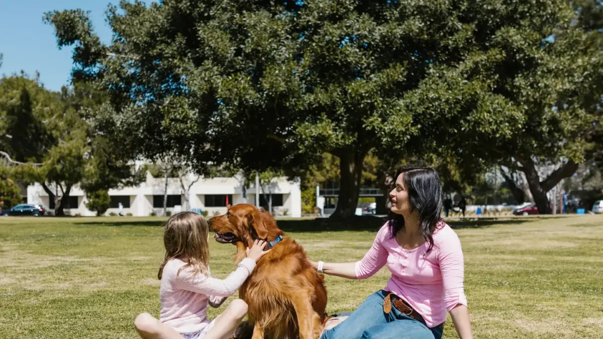 A veterinarian examining a senior dog's hind leg during a joint exam