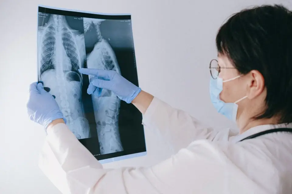 A veterinarian gently checking a dog&#x27;s spine and hip mobility during an exam