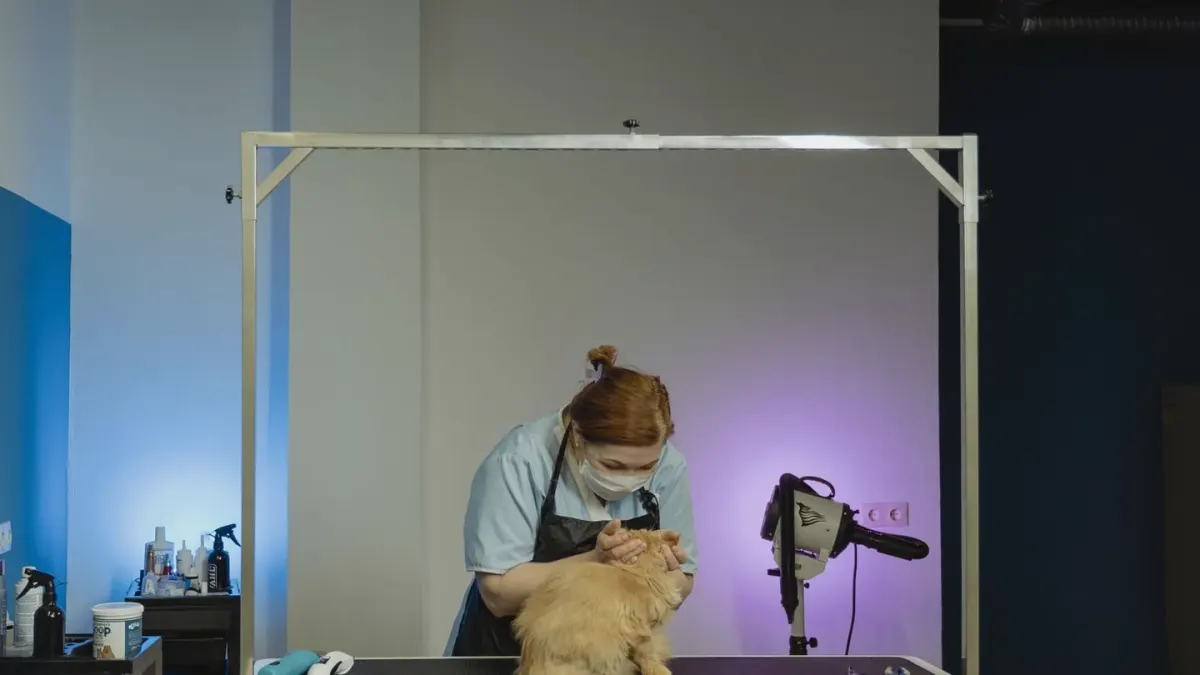 A veterinarian gently flexing a senior dog's hind leg during a joint exam
