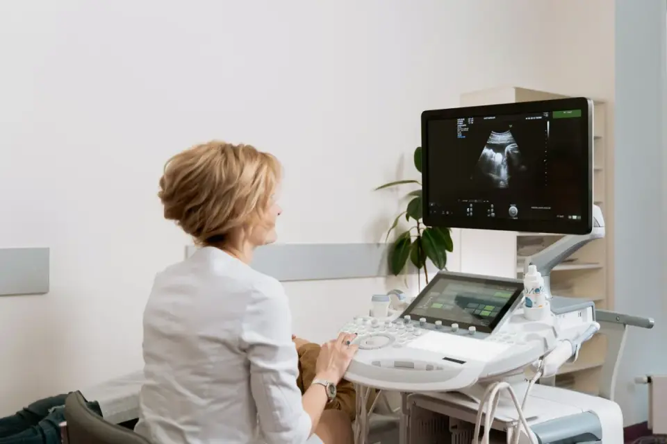 A veterinarian palpating a dog's hip and spine during a wellness exam