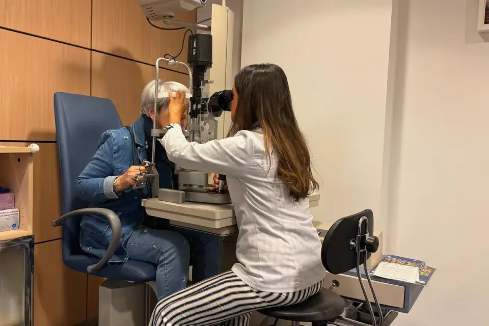 A veterinarian performing a physical exam on a dog on an exam table