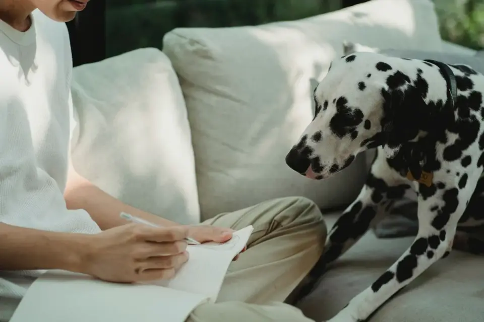 A veterinary professional reviewing a dog food label with a pet owner
