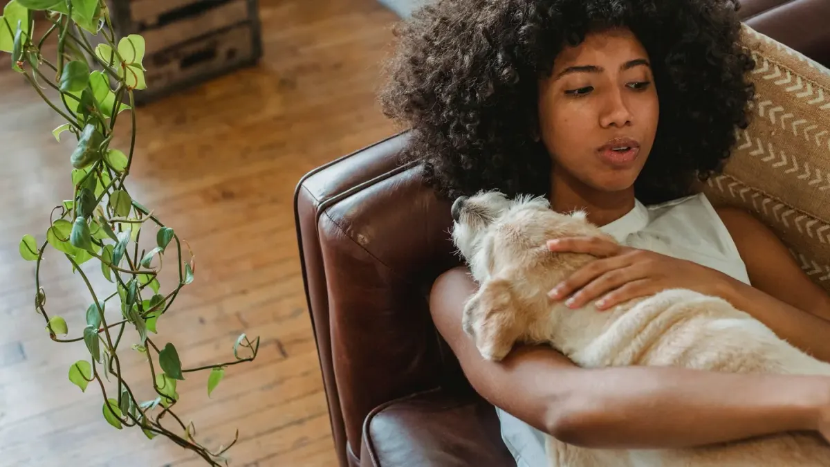 An owner reaching out to pet a dog that is leaning slightly away