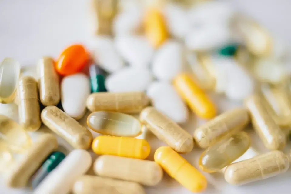 Close-up of a dog probiotic supplement label showing the ingredient and strain list