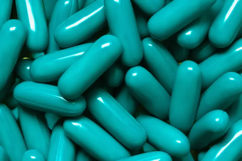 Close-up of a dog supplement label listing probiotic strain and CFU count