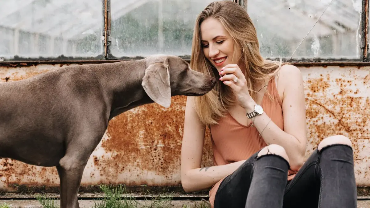 Dog and owner together