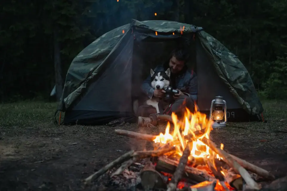 Dog camping with an owner