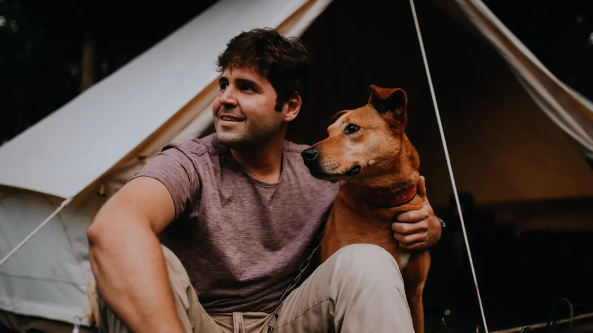 Dog camping with an owner