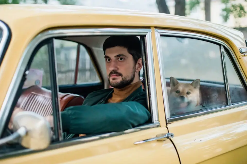 Dog in a car seat