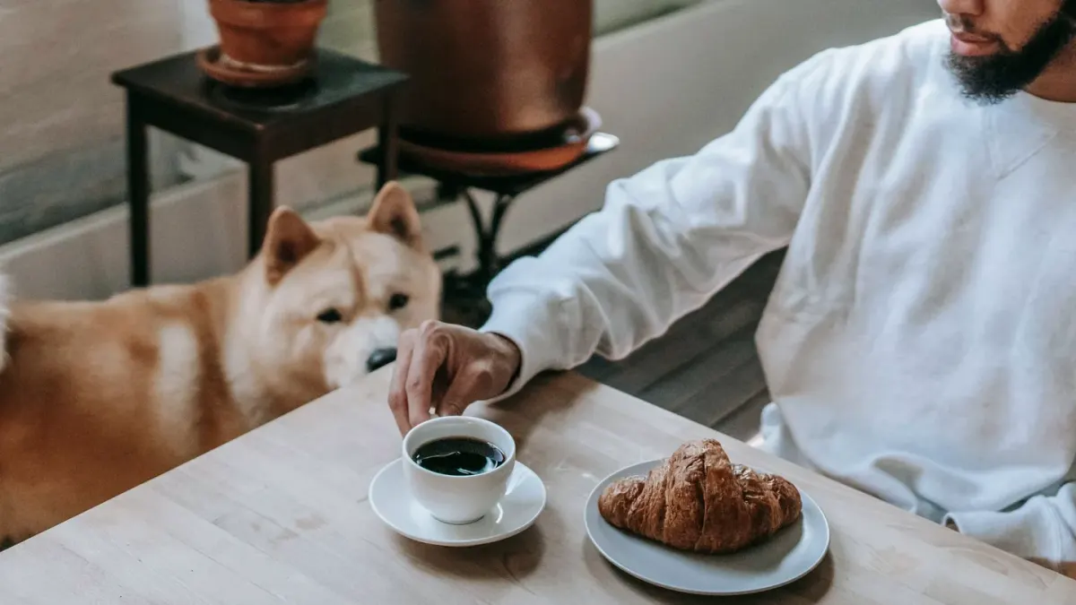 Dog in a kitchen with an owner