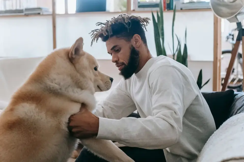 Dog in a kitchen with an owner