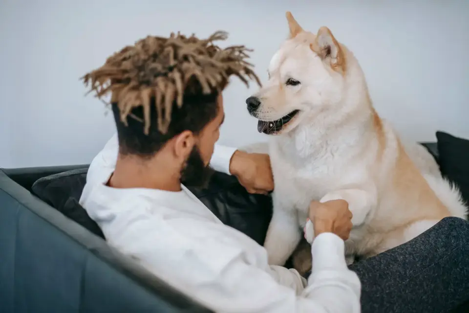 Dog in a kitchen with an owner