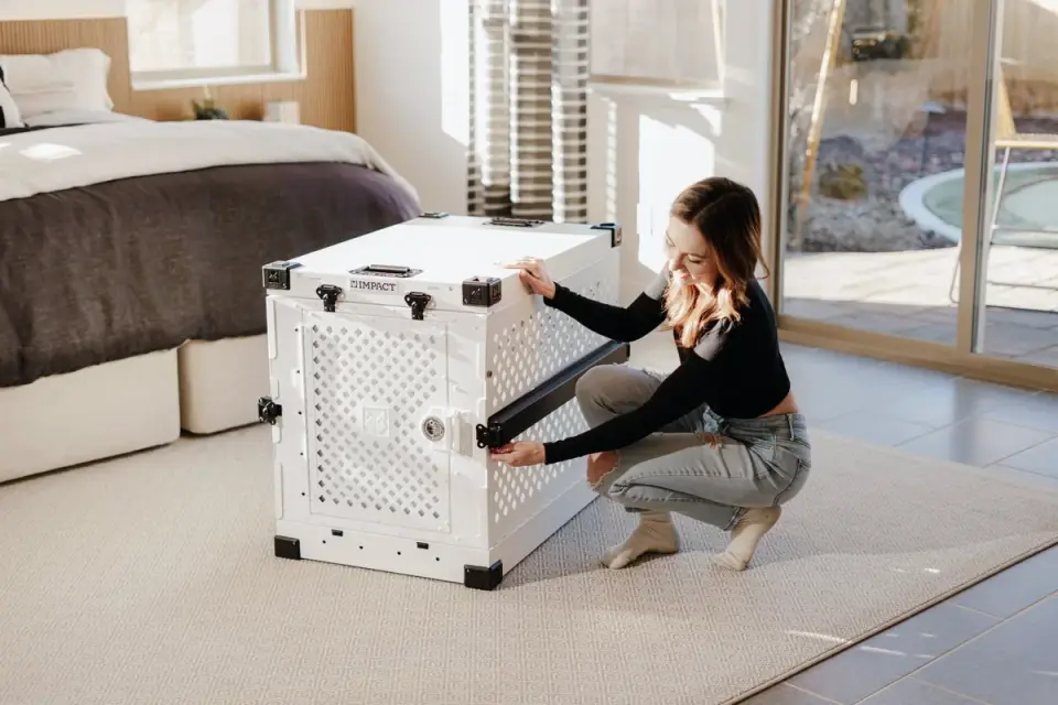 Dog in a travel crate