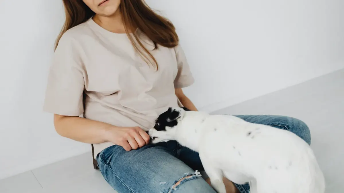 Dog looking at an owner