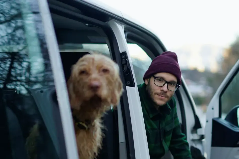 Dog on a road trip