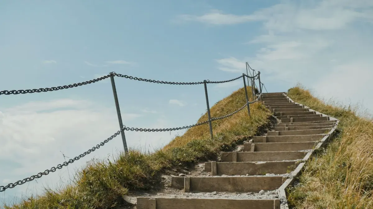 Dog on stairs