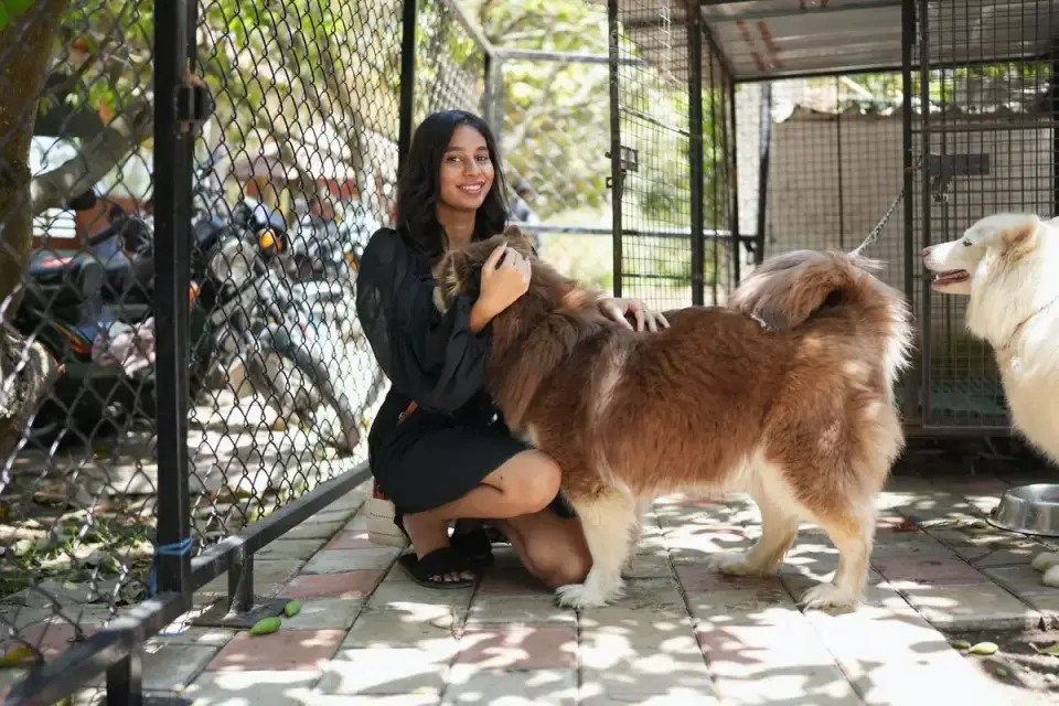 Dog owner preparing a meal