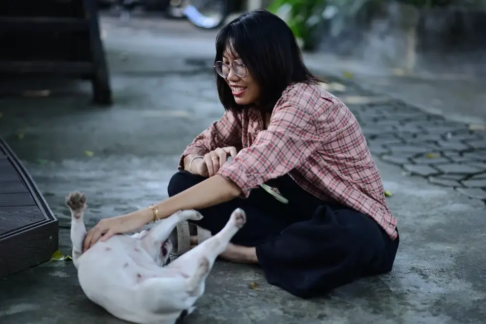 Dog owner preparing a meal