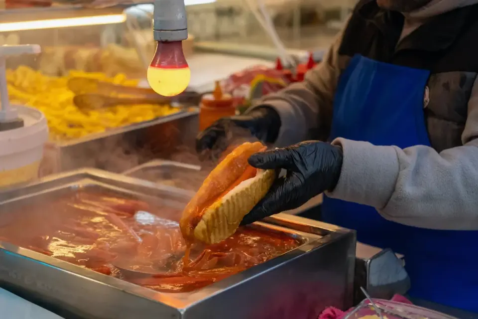 Dog owner preparing a meal