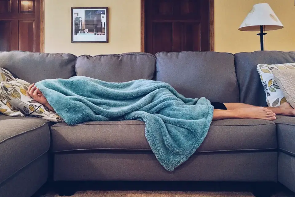 Dog resting at home