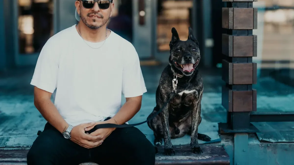 Dog sitting beside an owner