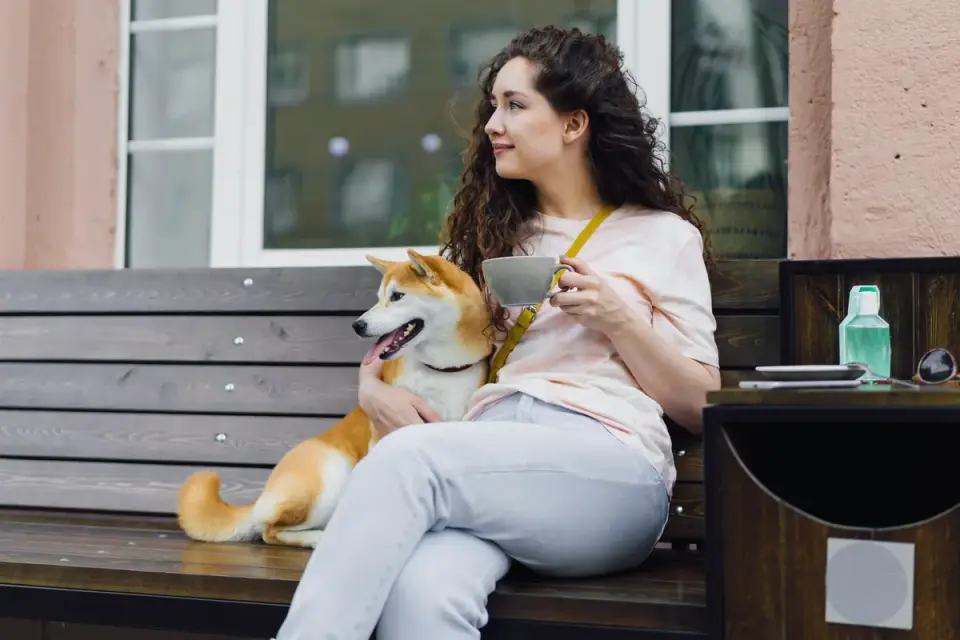 Dog sitting beside an owner