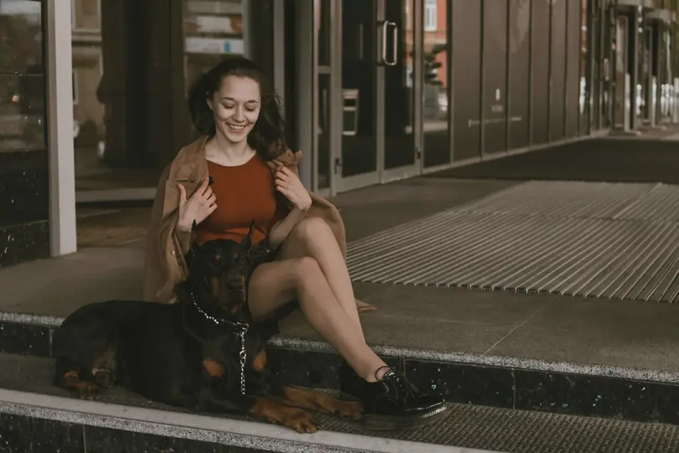 Dog sitting beside an owner