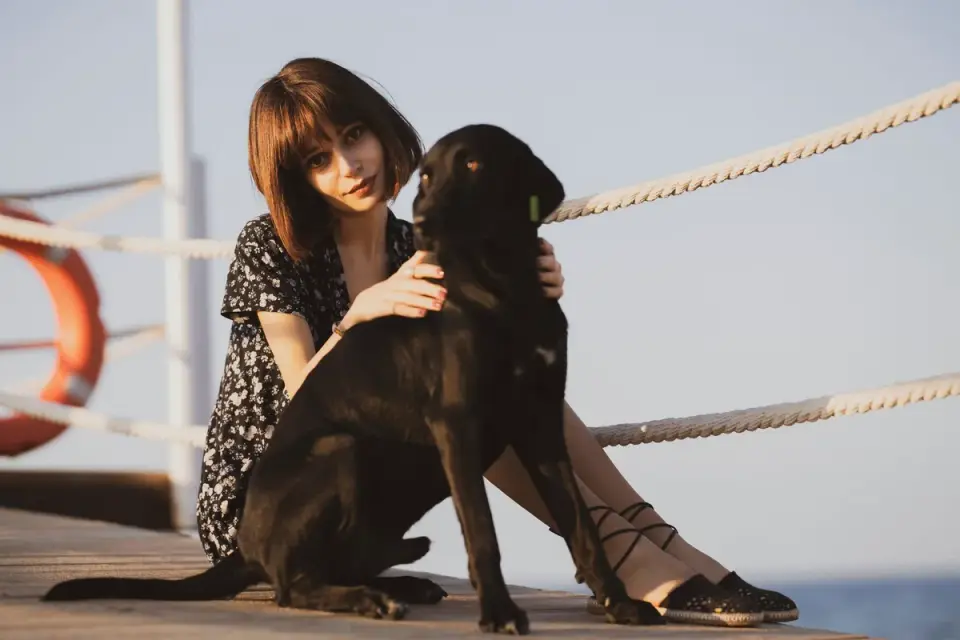 Dog sitting beside an owner
