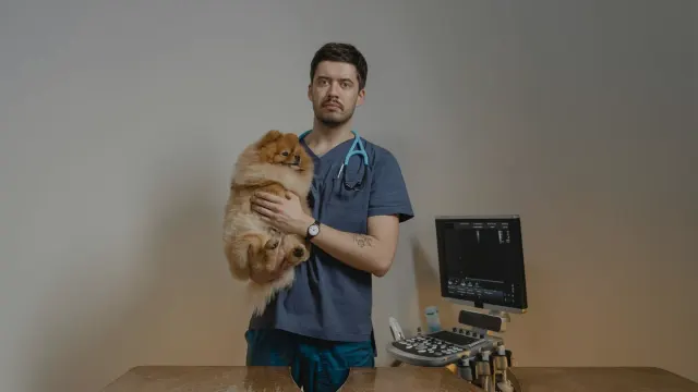 Dog sitting calmly on a veterinary clinic scale while an owner offers a treat