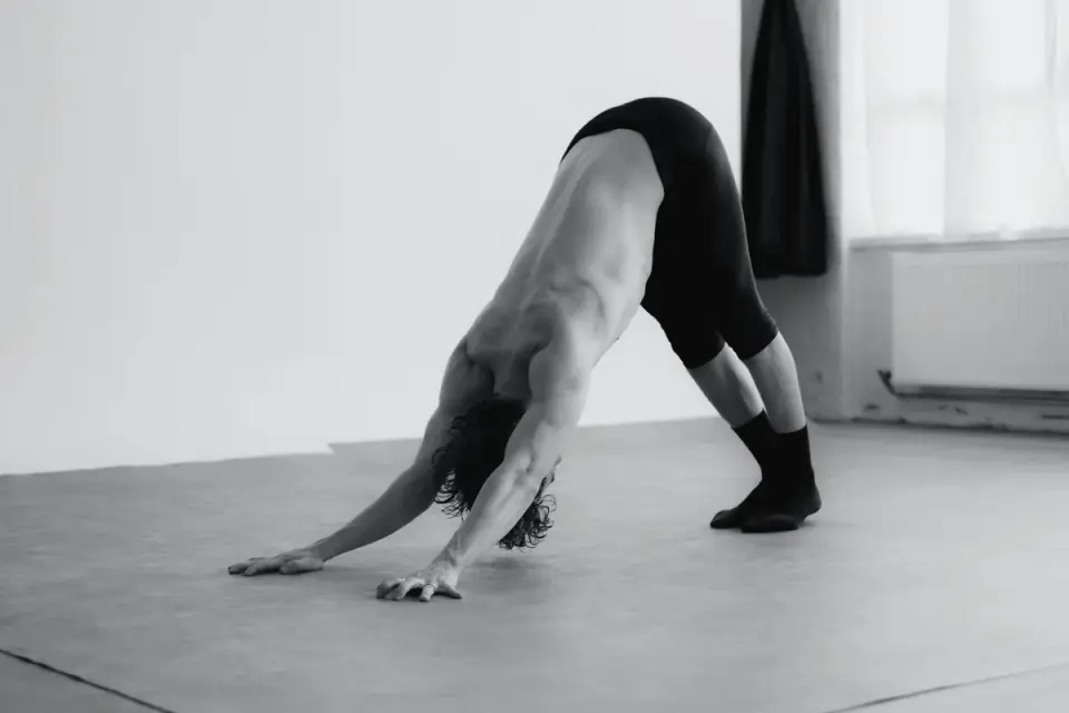Dog stretching indoors