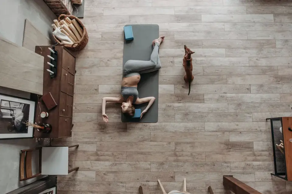 Dog stretching indoors