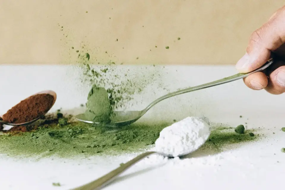Dog supplement powder being stirred into a bowl of wet food