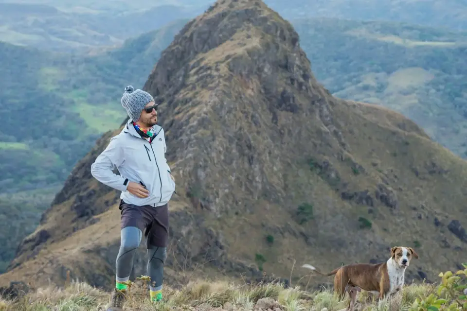 Dog traveling with an owner