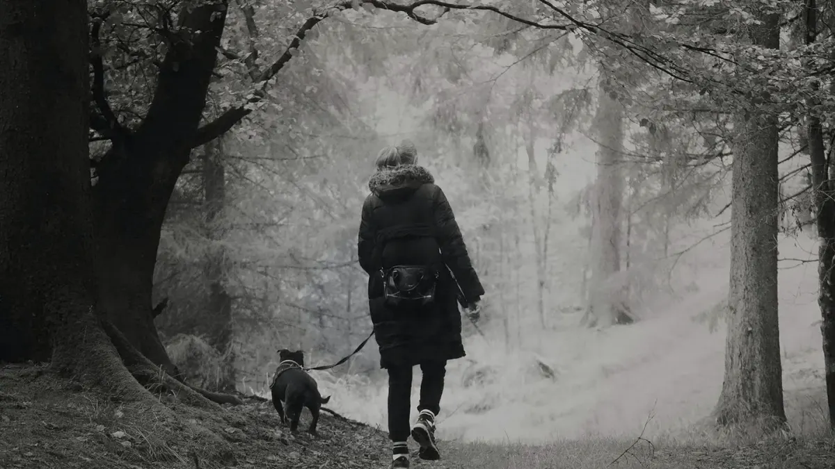 Dog walking with an owner