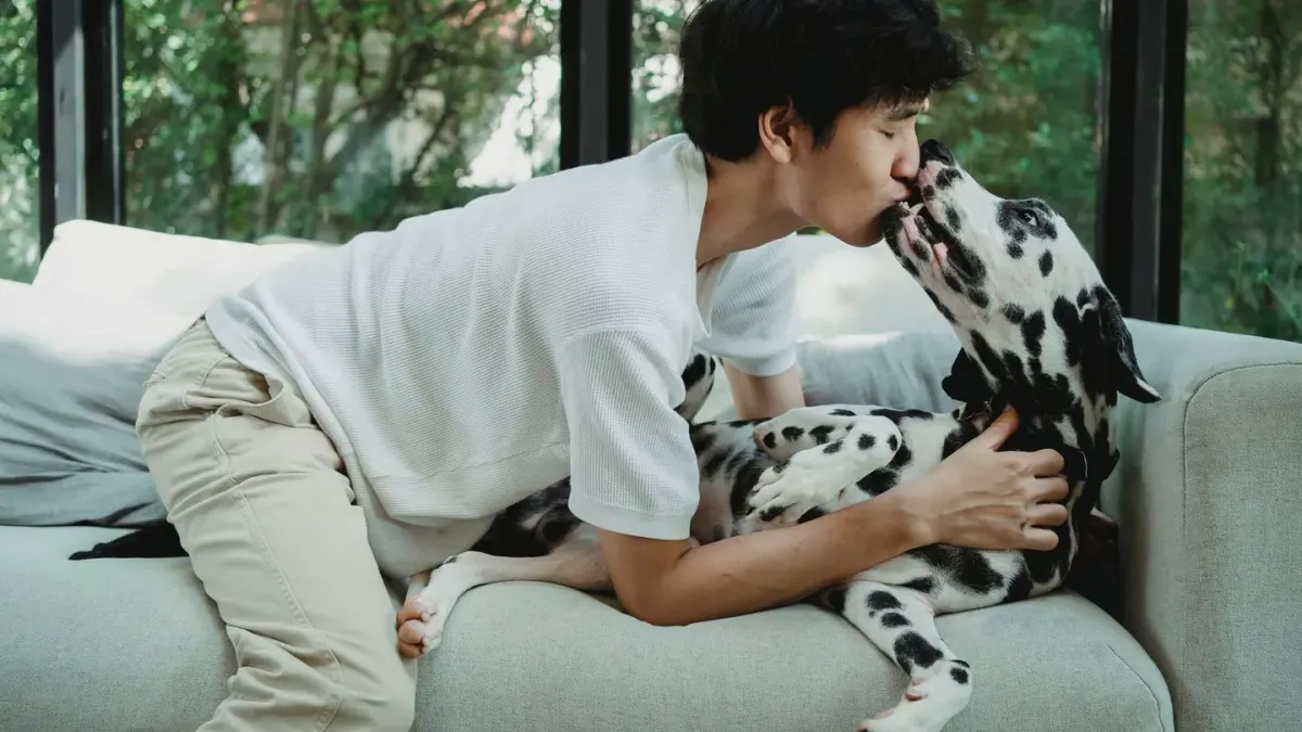 Dog with an owner at home