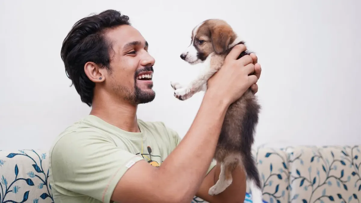 Dog with an owner at home
