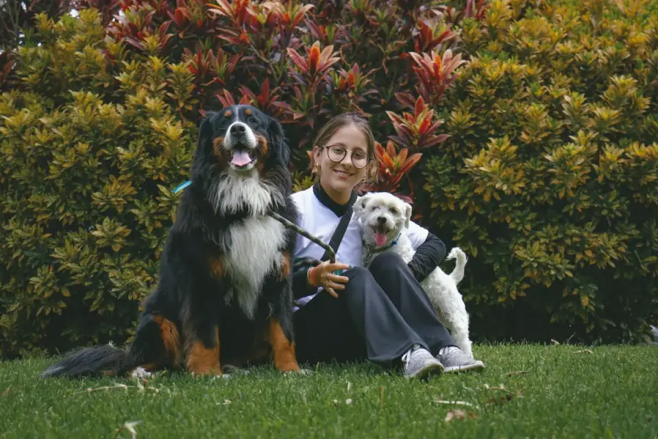 Dog with an owner at home